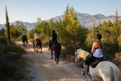 Horseback Riding in Konavle Region with Transport from Dubrovnik