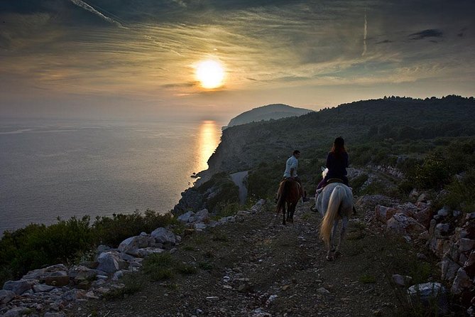 Horseback Riding in Konavle Region with Transport from Dubrovnik - Price and Value: Why This Costs More, and When It Pays Off