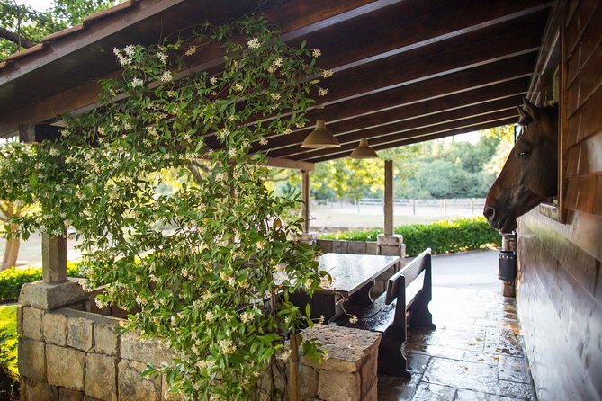 Horseback Riding in Konavle Region with Transport from Dubrovnik - What to Wear and Bring for a 6 PM Horse Ride (Comfort First)