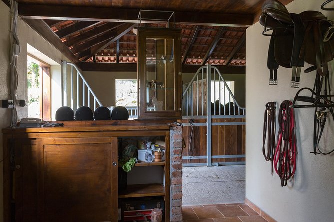 Horseback Riding in Konavle Region with Transport from Dubrovnik - Should You Book This Konavle Horseback Tour From Dubrovnik?