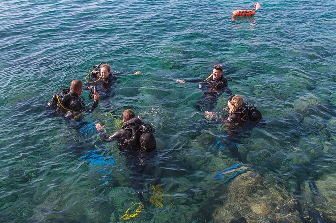 Intro Dive in Dubrovnik - First Scuba Lesson in Dubrovnik, from Shore