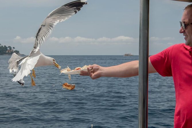 Island Hopping & City Walls Cruise with Food and Open Bar - Dubrovnik logistics: where the day starts and why it matters