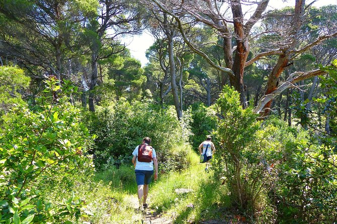 Kolocep Island Hiking and Swimming Full Day Trip from Dubrovnik - Return to Dubrovnik: Calm Feet After a Full Day