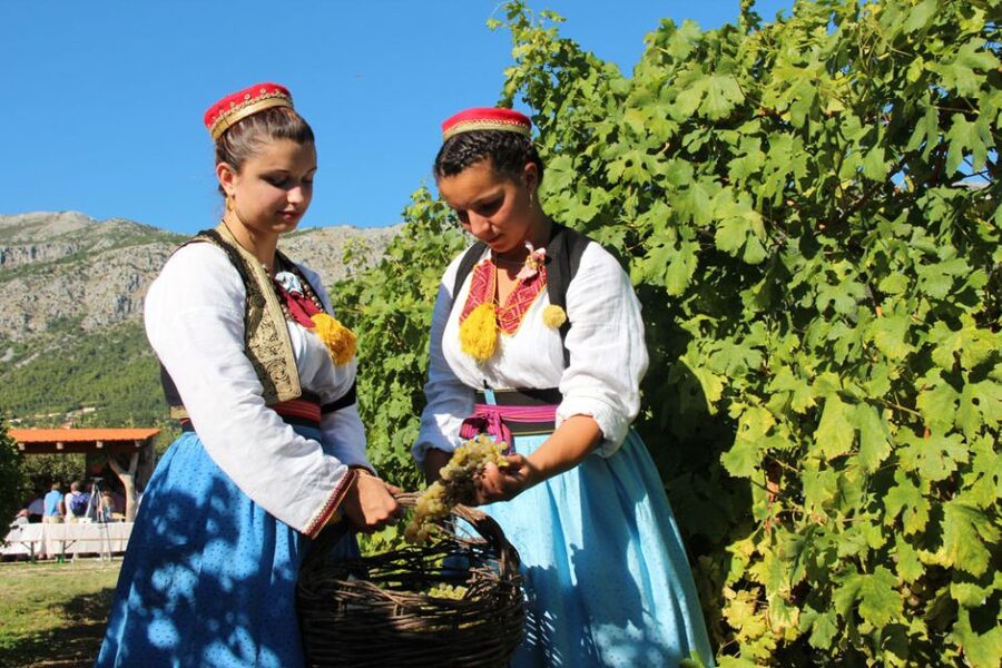 Konavle Valley: Private Half-Day Tour with Wine Tasting - Cavtat to Sokol town fortress: a viewpoint with extra entry fees