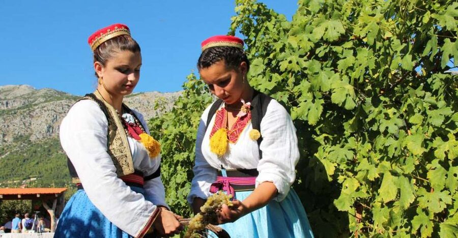 Konavle Valley: Private Half-Day Tour with Wine Tasting - From Dubrovnik or Mlini to Cavtat: start with sea-adjacent views