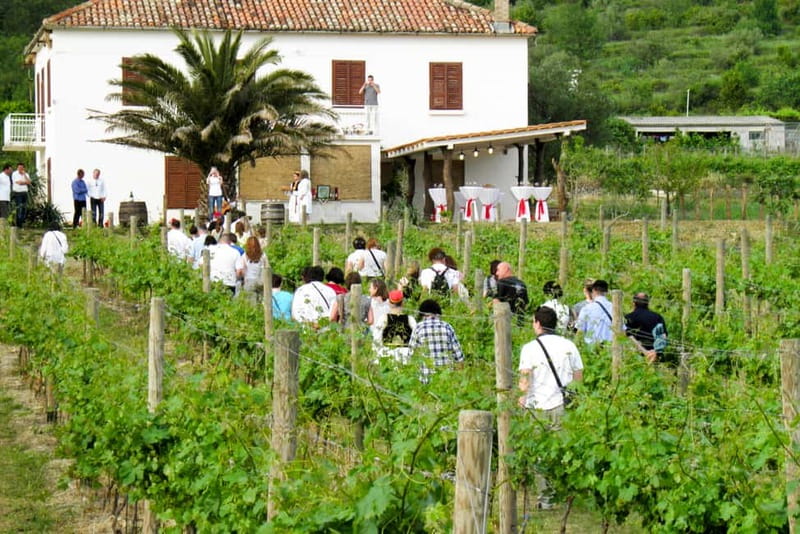 Konavle Valley: Tour with Wine Tasting from Dubrovnik - Starting from Koločep, then heading inland for Konavle’s real rhythm