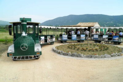 Konavle Valley: Tour with Wine Tasting from Dubrovnik