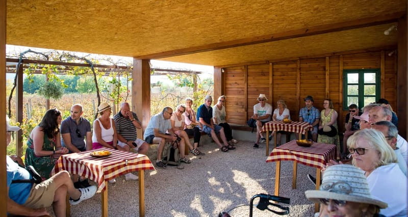 Konavle Valley: Tour with Wine Tasting from Dubrovnik - The flow and timing: what a 6-hour schedule feels like in real life