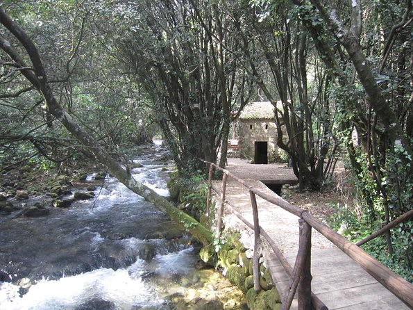 Konavle Valley Wine Tour from Dubrovnik with Train Ride and Wine Tasting - Food, Comfort, and What to Bring for a Better Day