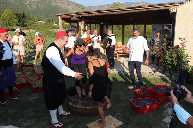 Konavle wine tasting tour from Dubrovnik with 2 vinery's - The Konavle grapes and what you should listen for