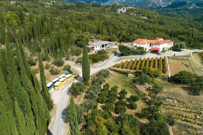 Konavle wine tasting tour from Dubrovnik with 2 vinery's - Price and the extra 100 euros per person, what to clarify