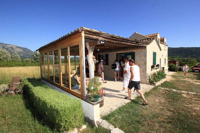 Konavle wine tasting tour from Dubrovnik with 2 vinery's - Pickup and meeting in Dubrovnik, how to avoid the stress spiral