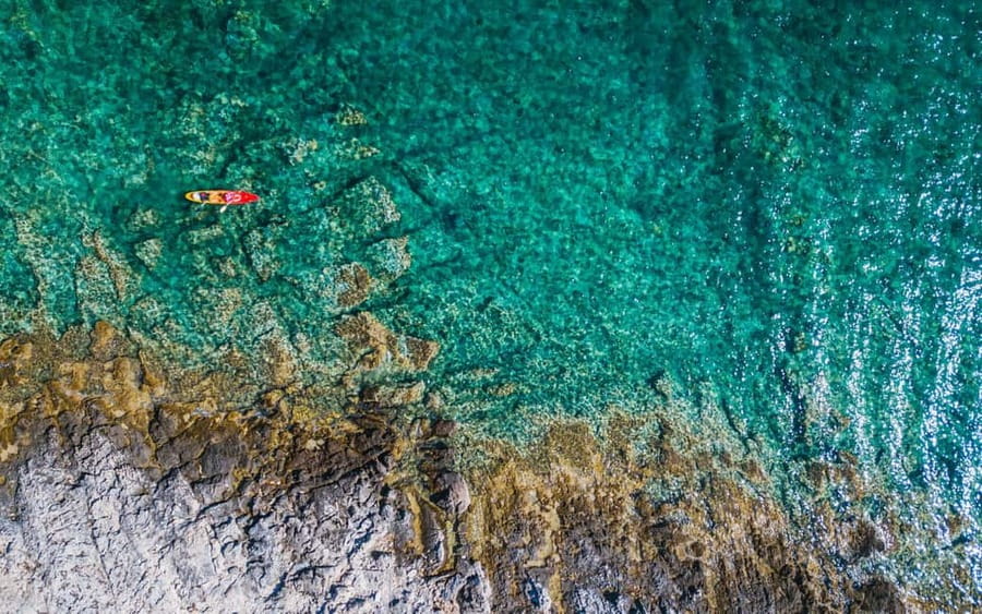 Korcula Archipelago Kayak Tour - Wildlife and marine ecosystems: what you are really paying for