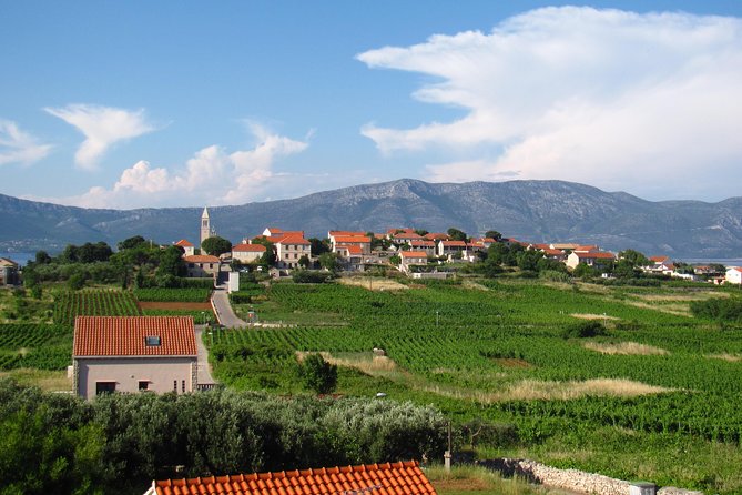 Korcula Bike & Wine Tour | Wine Tasting in Lumbarda - Snacks and tastings: what you eat and how it fits the day