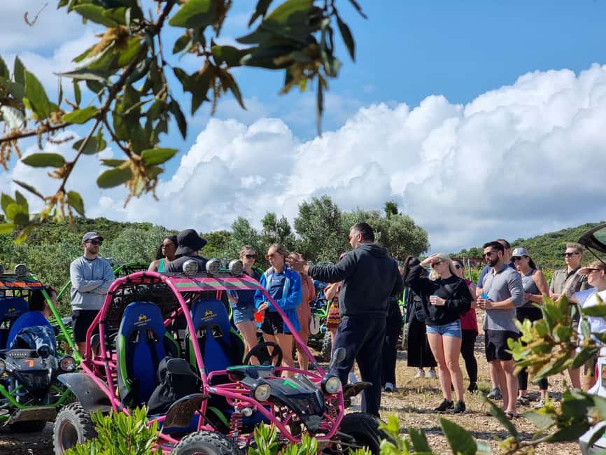 Korcula: Buggy Safari with Local Food and Wine Tasting - The First Stops: Views, Olive Groves, and the GRK Vineyard Story