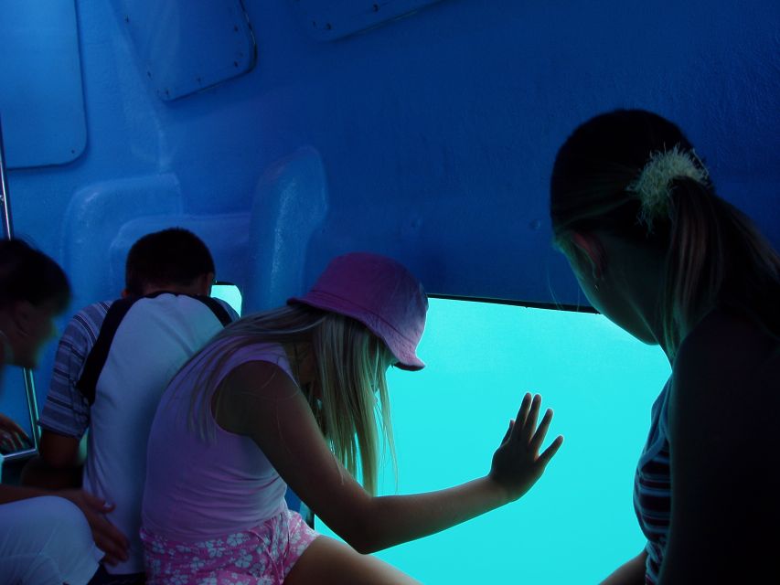 Korcula: Semi-Submarine Tour - How a semi-submarine keeps you dry but still gives underwater views