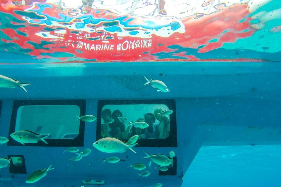 Korcula: Semi-Submarine Tour - Should you book this semi-submarine tour in Korcula?