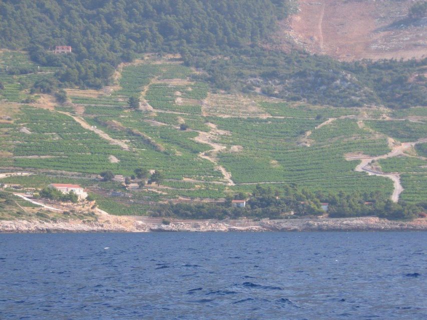 Korčula & Ston Full-Day Private Tour from Dubrovnik - Key things to know before you go