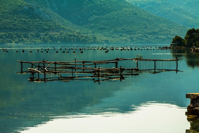 Korcula, Ston, Wine Tasting and Lunch - Tour from Dubrovnik - Matuško cellar wine tasting: 3 wines, one focused stop