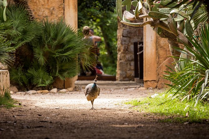Legendary Game of Thrones & Lokrum Island Tour - Price and what you should budget beyond the base ticket