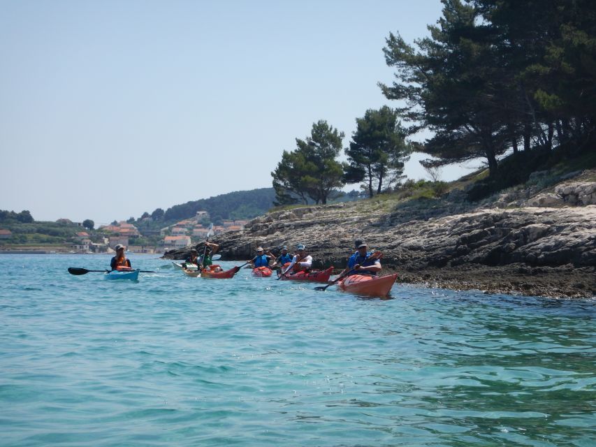 Lumbarda: Half-Day Kayaking and History with Wine delight - Wild deer on Badija: the unexpected nature moment