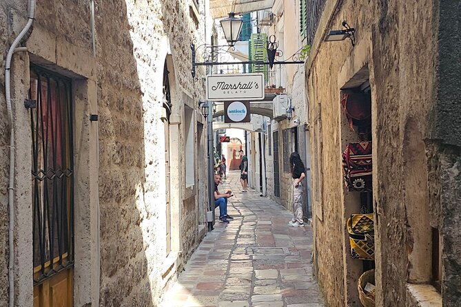 Luxury Day tour to Montenegro - Who this private Montenegro tour is best for