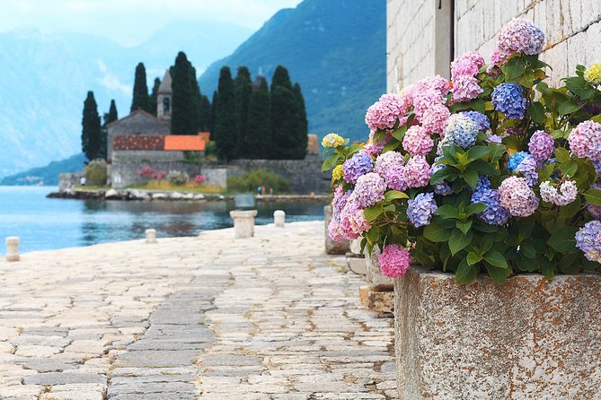 Montenegro Bay Cruise with Lunch on the Boat day trip - Price and value: why $118.96 can make sense, and when it might sting