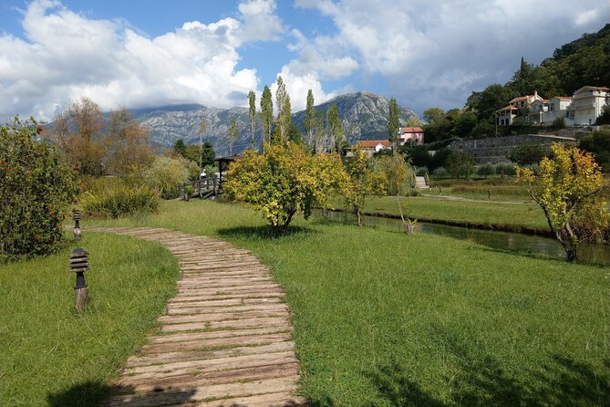 Montenegro Private Full Day Tour from Dubrovnik - Getting To Montenegro: Adriatic Drive, Cavtat to the Border