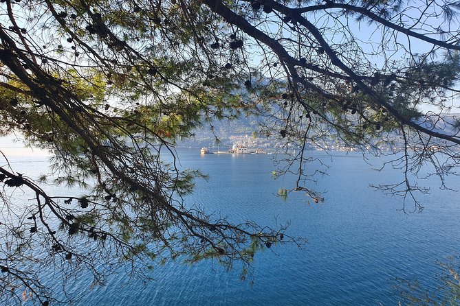 Montenegro Private Tour - Bay of Kotor drive plus ferry crossing: the photo stops that actually move you
