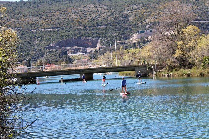 Ombla river Paddleboarding tour in Dubrovnik with snacks - Back on Shore: Local Family Snacks, Garden-Veg Flavors, and Drinks