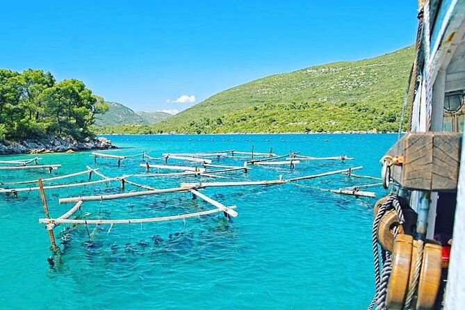 Oyster farm experience / Private day trip from Dubrovnik - Key highlights at a glance