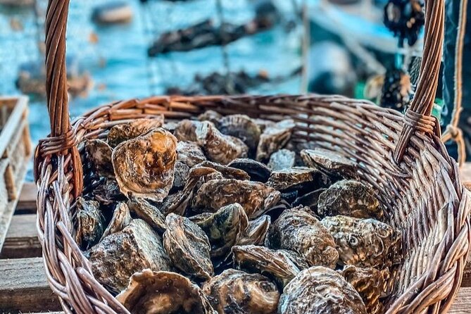 Oyster farm experience / Private day trip from Dubrovnik - Price and value: what $258.30 per person really covers