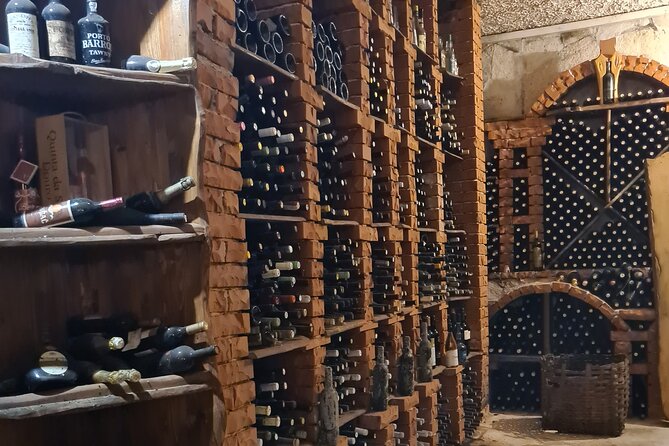 Oysters & Wine Tour From Dubrovnik (Small Group) - What I’d Plan Around: Timing, Weather, and What to Pack
