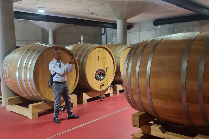 Oysters & Wine Tour From Dubrovnik (Small Group) - Should You Book This Dubrovnik Oysters and Wine Tour?