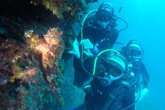 PADI Discover Scuba Diving in Dubrovnik - Safety Checks You Should Expect, Especially If You Feel Unwell