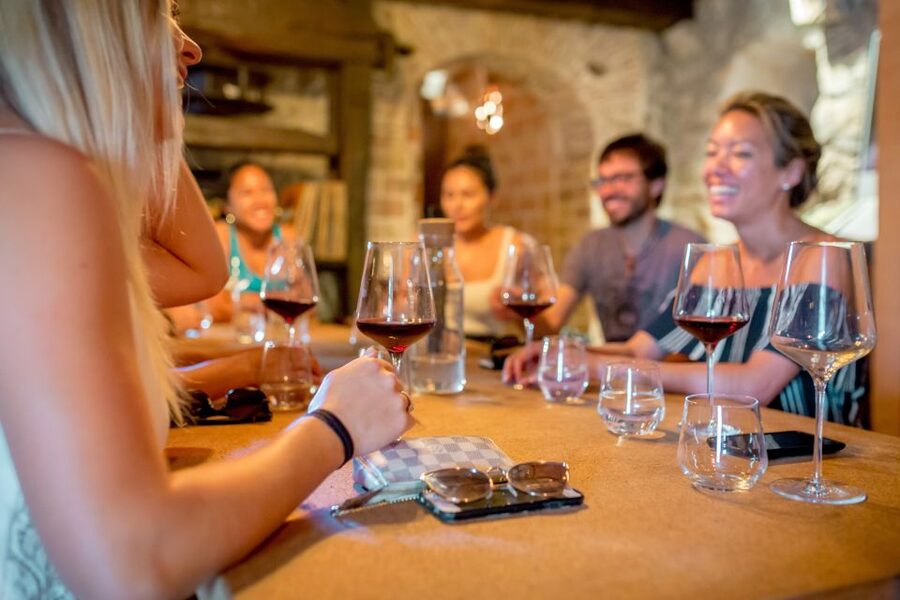 Pelješac Full-Day Wine and Food Tour from Dubrovnik - Key things you will do on this Pelješac tour