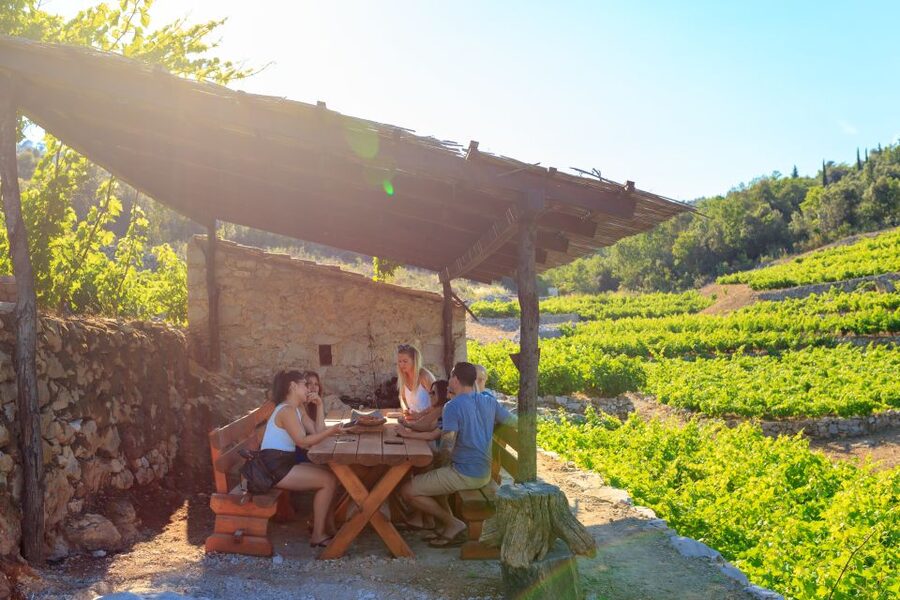Pelješac Full-Day Wine and Food Tour from Dubrovnik - Pelješac from Dubrovnik, the easy way to feel the region