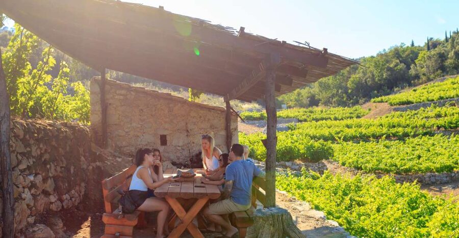 Pelješac Full-Day Wine and Food Tour from Dubrovnik - Fresh oysters from the sea, plus a pairing that makes sense