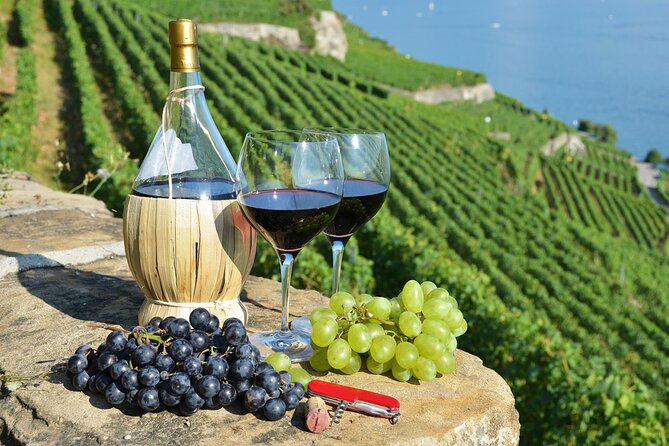 Peljesac Vineyards & Oysters - Private Day Trip from Dubrovnik-Mercedes Vehicle - Key things I’d clock before you go