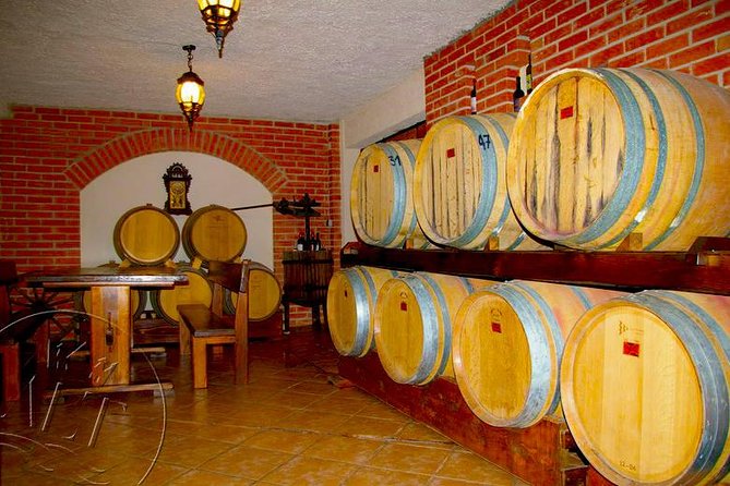 Peljesac Vineyards & Oysters - Private Day Trip from Dubrovnik-Mercedes Vehicle - Private Dubrovnik to Peljesac: Why this day trip works