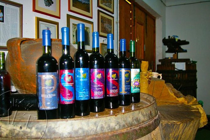 Peljesac Vineyards & Oysters - Private Day Trip from Dubrovnik-Mercedes Vehicle - Ston oyster time: the optional boat ride and tasting