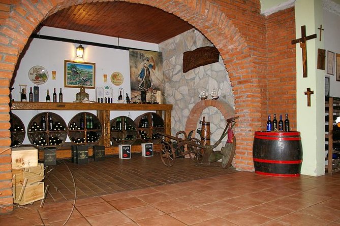 Peljesac Vineyards & Oysters - Private Day Trip from Dubrovnik-Mercedes Vehicle - Who this Peljesac vineyards and oysters private trip is best for