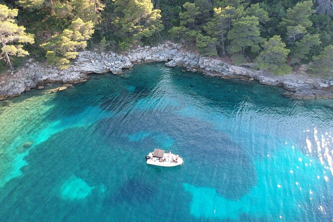 Peljesac Wine and Gastro Tour from Dubrovnik - Seafood on Pelješac Means Mussels and Oysters You Can Taste the Coast On