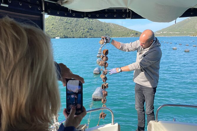 Pelješac - Wine, Oysters and Food Experience from Dubrovnik - Key things to know before you go
