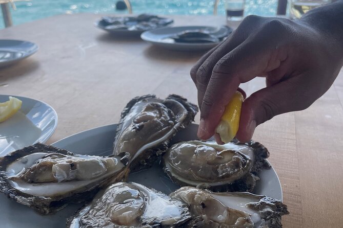 Pelješac - Wine, Oysters and Food Experience from Dubrovnik - Pelješac from Dubrovnik: a food-first route with real sea and cellar time