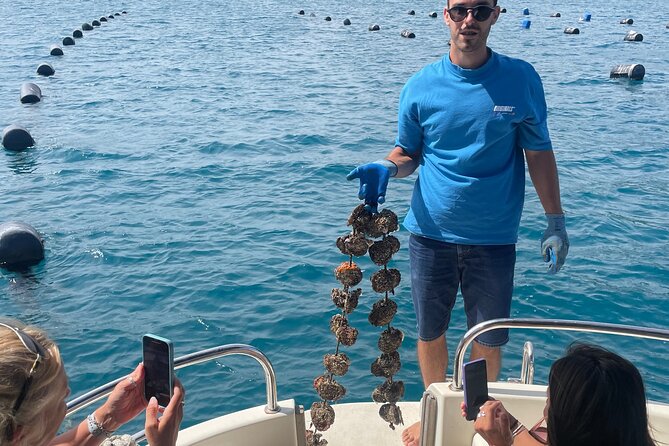 Pelješac - Wine, Oysters and Food Experience from Dubrovnik - Ston salt factory and the 30-minute free wander