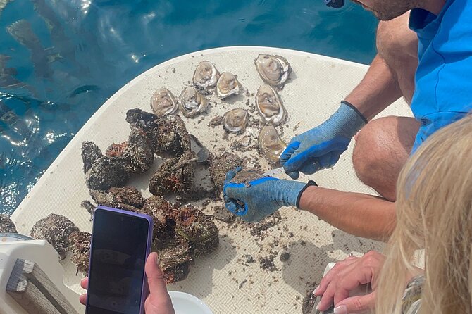 Pelješac - Wine, Oysters and Food Experience from Dubrovnik - Price and value: what $420.55 buys you in a small-group day