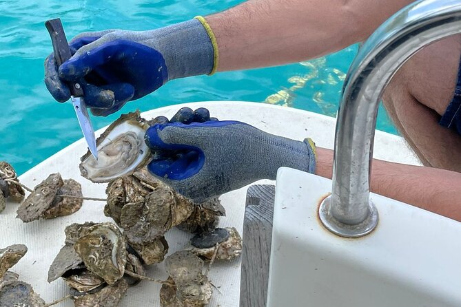 Peljesac Wine & Ston Oysters PRIVATE HALF DAY SHORE TOUR - Stop 3, Ston: Medieval Town Walk, Salt History, and Optional Entrances