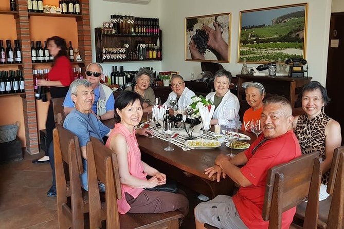 Peljesac Wine & Ston Oysters PRIVATE HALF DAY SHORE TOUR - Timing, Comfort, and How to Get the Best Day in 4 to 6 Hours