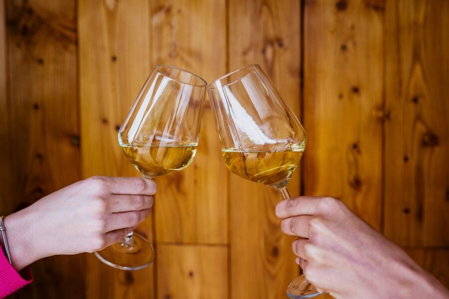 Pelješac wine tasting and local winery visit - Why Pelješac Is Croatia’s Empire of Wine